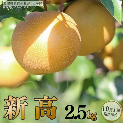 梨 新高 2.5kg 【 2026年10月上旬発送開始 】 ( 茨城県共通返礼品：大子町 ) 梨 なし 果物 くだもの フルーツ にいたか ナシ 農家直送 産地直送 [FC198us] 2791515 - 茨城県牛久市