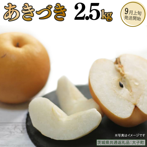 あきづき 2.5kg 【 2026年9月上旬発送開始 】 ( 茨城県共通返礼品：大子町 ) 梨 なし 果物 くだもの フルーツ 秋月 ナシ 農家直送 産地直送 [FC199us] 2791516 - 茨城県牛久市