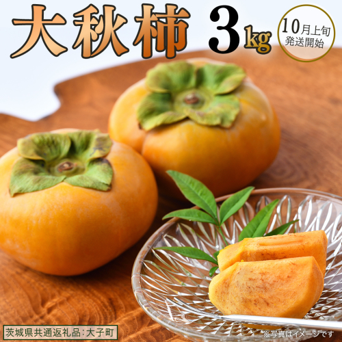 大秋柿 3kg 【 2026年10月上旬発送開始 】 ( 茨城県共通返礼品：大子町 ) 柿 カキ かき 果物 フルーツ 旬 季節限定 期間限定 農家直送 産地直送 [FC200us] 2791517 - 茨城県牛久市