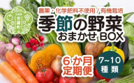 【6か月】季節の野菜詰め合わせセット 7～10類 A079-03