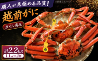 【先行予約/11月18日より順次配送】越前がに 1.1kg×2杯 茹で 福井県産ズワイガニ / かに カニ 蟹 越前ガニ ズワイガニ ボイル / 小浜市 / 一進わかさ【配送不可地域：北海道・沖縄・離島】 [BFES012]