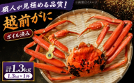 【先行予約/11月18日より順次配送】越前がに 1.3kg×1杯 茹で 福井県産ズワイガニ / かに カニ 蟹 越前ガニ ズワイガニ ボイル / 小浜市 / 一進わかさ【配送不可地域：北海道・沖縄・離島】 [BFES015]