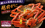 【先行予約/11月18日より順次配送】越前がに 1.3kg×2杯 茹で 福井県産ズワイガニ / かに カニ 蟹 越前ガニ ズワイガニ ボイル / 小浜市 / 一進わかさ【配送不可地域：北海道・沖縄・離島】 [BFES016]