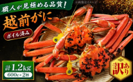 【先行予約/11月18日より順次配送】【訳あり】越前がに 600g×2杯 茹で 福井県産ズワイガニ 脚折れ・欠け / かに カニ 蟹 越前ガニ ズワイガニ ボイル / 小浜市 / 一進わかさ【配送不可地域：北海道・沖縄・離島】 [BFES018]