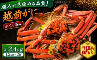 【先行予約/11月18日より順次配送】【訳あり】越前がに 1.2kg×2杯 茹で 福井県産ズワイガニ 脚折れ・欠け / かに カニ 蟹 越前ガニ ズワイガニ ボイル / 小浜市 / 一進わかさ【配送不可地域：北海道・沖縄・離島】 [BFES030]