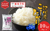 《令和8年産　新米予約》【定期便 全3回】米 10kg（5kg×2袋）×3回 (計30kg) 新潟県阿賀町 津川産 コシヒカリ 令和8年産 精米 白米 30キロ 新潟県産コシヒカリ 新潟県産こしひかり 新潟県産 コシヒカリ こしひかり ごはん ご飯 新潟県 阿賀町