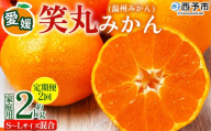 ＜愛媛県明浜産 笑丸みかん（温州みかん）定期便2回 約2kg S～L混合＞ 家庭用 訳あり ワケアリ 果物 くだもの フルーツ ミカン 柑橘 特産品 笑丸 愛媛県 西予市【常温】『2026年11月頃に第1回目順次出荷予定』