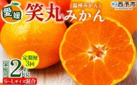 ＜愛媛県明浜産 笑丸みかん（温州みかん）定期便3回 約2kg S～L混合＞ 家庭用 訳あり ワケアリ 果物 くだもの フルーツ ミカン 柑橘 特産品 笑丸 愛媛県 西予市【常温】『2026年11月頃に第1回目順次出荷予定』