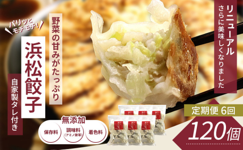 【定期便6回】浜松餃子 120個 (20個×6袋) セット 詰め合わせ 餃子のたれ 小袋 知久屋 国産 ぎょうざ 餃子 ギョーザ 冷凍餃子 冷凍ギョーザ 工場直送 ヘルシー あっさり 惣菜 中華 点心 静岡 浜松市 【配送不可：離島】 2792998 - 静岡県浜松市