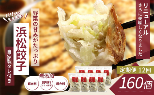 【定期便12回】浜松餃子 160個 (20個×8袋) セット 詰め合わせ 餃子のたれ 小袋 知久屋 国産 ぎょうざ 餃子 ギョーザ 冷凍餃子 冷凍ギョーザ 工場直送 ヘルシー あっさり 惣菜 中華 点心 静岡 浜松市 【配送不可：離島】 2793002 - 静岡県浜松市