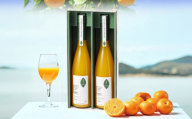 まるはなみかんのまるごとジュース 500ml × 2本 ジュース ストレート ストレートジュ−ス みかん ミカン フルーツ 果汁 果実 果物 くだもの 柑橘 甘味 コク 高濃度みかん 国産 熊本県産