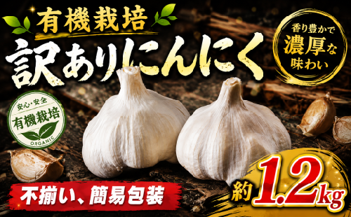 有機栽培にんにく 約 1.2kg 有機JAS 認証 ニンニク にんにく 野菜 やさい 訳あり飯田農園 香取 千葉県 香取市 IIN001 2793686 - 千葉県香取市