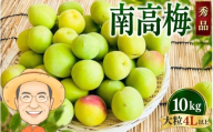 【秀品】南高梅 青梅 約10kg (＋補償100g) 大粒 4L以上 カキエモン農園 【2027年6月上旬～6月中旬頃順次発送】 和歌山産 梅干し 梅酒 梅シロップ 果実 うめ 梅 ウメ カキエモン 農園 送料無料 なんこううめ なんこうばい なんこう梅 加工用 家庭用 紀州【BX-kkem041】