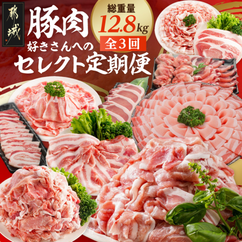 【☆セレクト定期便☆】豚肉好きさんへの定期便(3ヶ月)2月・4月・6月お届け≪2027年お届け≫〔T52-3-S003〕 2793804 - 宮崎県都城市