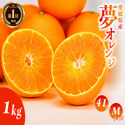 【先行予約】訳あり みかん職人の夢おれんじ 1kg 柑橘 果物 フルーツ 愛媛 みかん職人武田屋 蜜柑 愛果28号 愛媛果試第28号 まどんな オレンジ 大小ミックスサイズ 甘い 甘さ みかん かんきつ 柑橘 冬 旬 食べごろ 農家 農家直送 農園 人気 みかん職人 武田屋 産直 みかん職人武田屋 愛媛県 愛南町 2793889 - 愛媛県愛南町