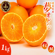 【先行予約】訳あり みかん職人の夢おれんじ 1kg 柑橘 果物 フルーツ 愛媛 みかん職人武田屋 蜜柑 愛果28号 愛媛果試第28号 まどんな オレンジ 大小ミックスサイズ 甘い 甘さ みかん かんきつ 柑橘 冬 旬 食べごろ 農家 農家直送 農園 人気 みかん職人 武田屋 産直 みかん職人武田屋 愛媛県 愛南町