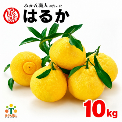 【先行予約】 訳あり はるか 10kg なくなり次第終了 柑橘 かんきつ 期間限定 みかん 蜜柑 冬 糖度 みかん職人武田屋 愛媛 愛南 2793890 - 愛媛県愛南町
