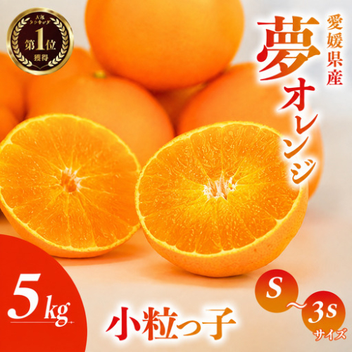【先行予約】訳あり みかん職人の夢おれんじ 小粒っ子 5kg オレンジ みかん 柑橘 果物 フルーツ 愛媛 みかん職人武田屋 蜜柑 愛果28号 愛媛果試第28号 まどんな 小玉 蜜柑 甘い 甘さ みかん かんきつ らんきんぐ 柑橘 冬 旬 食べごろ 農家 農家直送 農園 人気 みかん職人 武田屋 産直 みかん職人武田屋 愛媛県 2793892 - 愛媛県愛南町