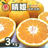 【先行予約】訳あり 晴姫 はれひめ 3kg みかん 蜜柑 柑橘 かんきつ 果物 くだもの ジュース 冬 旬 季節限定 期間限定 数量限定 厳選 産地直送 わけあり 訳あり 傷 きず サイズ混合 サイズミックス ふるさとチョイス ふるさと納税 ふるさと納税みかん チョイス 愛媛県 愛南町 みかん職人武田屋