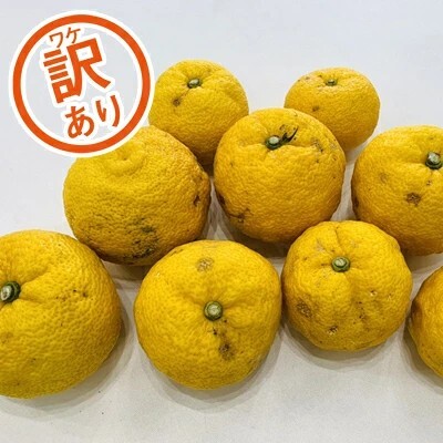 【先行予約】訳あり みかん職人の柚子（ゆず）3kg ユズ ゆず 柚子 柑橘 フルーツ かんきつ みかん 訳あり 家庭用 えひめ  愛媛県 愛南町 みかん職人武田屋 2793899 - 愛媛県愛南町