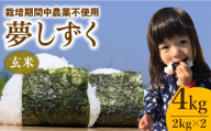 【8月発送】令和8年産 夢しずく ( 玄米 ) 4kg【北原農園】 [HCA001]