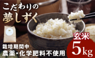 【8月発送】令和8年産 こだわりの玄米 夢しずく 5kg 【北原農園】[HCA019] / 玄米 夢しずく 佐賀米 玄米 特別栽培米