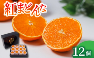 【2026年11月中旬頃から順次発送】 紅まどんな Mサイズ 12個  | 紅まどんな 柑橘 フルーツ まどんな みかん 愛媛 みかん 紅マドンナ 蜜柑 紅まどんな 愛媛県 松山市