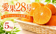 愛果28号 (紅まどんな と同品種) 約5kg 【2026年11月中旬頃より順次発送】 | あいか 愛果28号 紅まどんな と同品種 みかん 柑橘 アイカ 先行予約 ミカン かんきつ 果物 フルーツ おすすめ 蜜柑 くだもの オレンジ orange グルメ お取り寄せ デザート おれんじ 送料無料 愛媛県 松山市