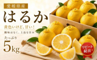 はるか 約5kg 家庭用 【2027年2月中旬頃から順次発送】 | みかん 愛媛 柑橘 ミカン かんきつ mikan フルーツ くだもの 果実 カンキツ 果物 ふるーつ おやつ 蜜柑 おれんじ オレンジ orange デザート グルメ お取り寄せ 送料無料 松山市 愛媛県