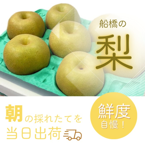 D031-2026 【家庭用】果汁たっぷりの極上梨「あきづき・3kg」（2026年産） 2794385 - 千葉県船橋市