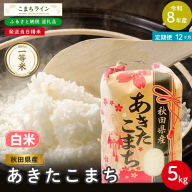 《 12回定期便 》 米 令和8年産 あきたこまち 白米 5kg×12回 秋田県産 米 一等米 ブランド米 60キロ 白米 精米 精米したて 一人暮らし 秋田 能代 能代市 送料無料 《こまちライン》