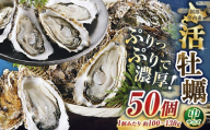【 ぷりっぷりで濃厚！ 】 釧路管内産 【 活 】 牡蠣 （ 中 ） 50個 （ 1個あたり約100～130g ） カキ かき 生牡蠣 焼き牡蠣 殻付き 生食 魚介 魚介類 海鮮 海のミルク お鍋 国産 北海道産 冷蔵