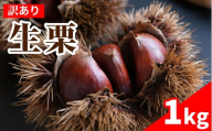 【訳あり】 栗 1kg 国産 生栗 L LLサイズ 品種無選別 家庭用 訳あり栗 秋の味覚 栗ご飯 渋皮煮 甘露煮 焼き栗 くり クリ お菓子作り 旬