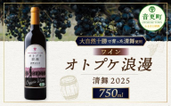 【11日程度で発送予定】オトプケ浪漫清舞2025【C99】