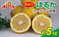 訳あり はるか 約 5kg スーパー山田屋 わけあり 訳あり品 果物 くだもの フルーツ 柑橘 蜜柑 みかん mikan お取り寄せ ビタミン 愛媛みかん 愛媛ミカン 産地直送 数量限定 国産 愛媛 宇和島 B010-198007
