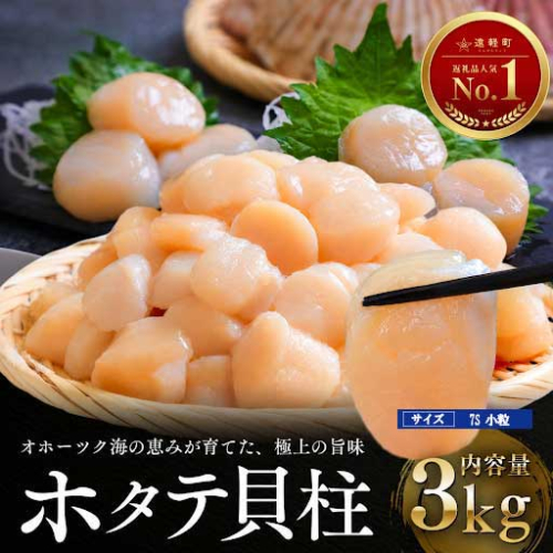 10月発送　オホーツク海産ホタテ貝柱3kg(小粒) en01-00348 2795019 - 北海道遠軽町