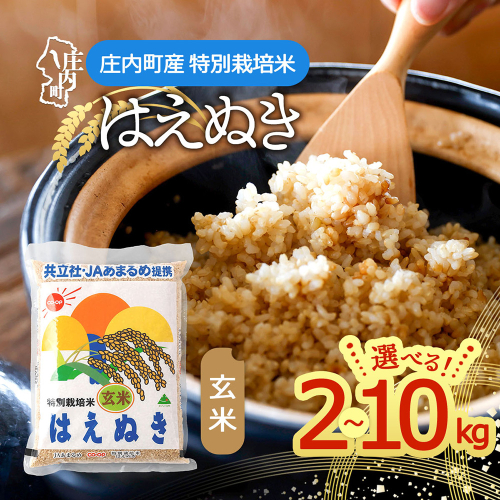 特別栽培米 玄米はえぬき 2kg 6kg 10kg 令和7年産 2025年産 庄内町産 余目産 はえぬき 玄米 ブランド米 米 山形 庄内平野 甘み 粘り バランスの良い ごはん ふるさと納税 2795024 - 山形県庄内町