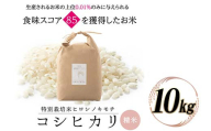 令和8年度　新米 特別栽培米 コシヒカリ ヒロシノキモチ 精米 10kg ブランド米 銘柄米 国産 米 お米 日本米 ギフト 贈り物 備蓄 防災 食品 陽咲玲 はるざれ F6T-1026