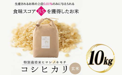 令和8年度　新米 特別栽培米 コシヒカリ ヒロシノキモチ 玄米 10kg ブランド米 銘柄米 国産 米 お米 日本米 ギフト 贈り物 備蓄 防災 食品 陽咲玲 はるざれ F6T-1030 2795032 - 富山県立山町