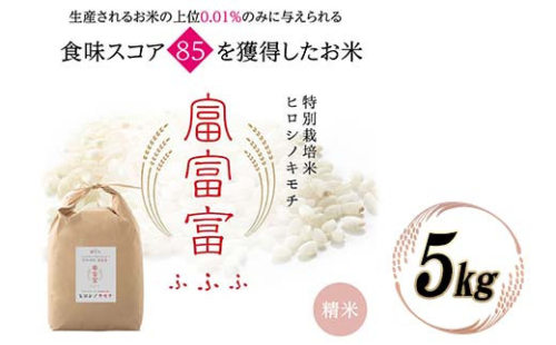 令和8年度　新米 富山県ブランド米 富富富 精米 5kg ふふふ ブランド米 国産 米 お米 日本米 ギフト 贈り物 備蓄 防災 食品 陽咲玲 はるざれ F6T-1049 2795047 - 富山県立山町