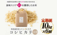 令和8年度　新米 【6回定期】特別栽培米 コシヒカリ ヒロシノキモチ 玄米 10kg 総計60kg 陽咲玲 米 お米 コメ ご飯 ごはん 富山県産 富山県 立山町 F6T-1047