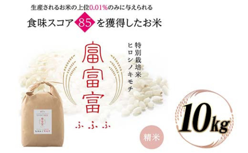 令和8年度　新米 富山県ブランド米 富富富 精米 10kg ふふふ ブランド米 国産 米 お米 日本米 ギフト 贈り物 備蓄 防災 食品 陽咲玲 はるざれ F6T-1052 2795054 - 富山県立山町