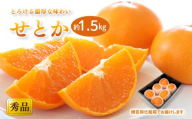 【2027年2月中旬頃から順次発送】 せとか ＜秀品＞(2L-3L / 5-6玉）約1.5kg 贈答用化粧箱入り | みかん せとか 秀品 愛媛県 松山市 おすすめ 松山市産せとか 柑橘の大トロ「せとか」 柑橘 みかん ミカン せとか 優品せとか ふるさと納税せとか みかん 柑橘 化粧箱入りせとか 贈答用柑橘 ギフト用みかん プレゼント用せとか 秀品せとか