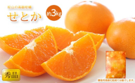 【2027年2月中旬頃から順次発送】 せとか ＜ 秀品 ＞ 約3kg 贈答用高級化粧箱入り | みかん せとか 柑橘 みかん 化粧箱入りみかん 贈答みかん おすすめ  秀品みかん せとか 松山市産せとか 柑橘みかん 愛媛県産みかん おすすめのせとか 贈答用せとか 贈答用みかん Ｋｏｋｏ’ｏのみかん 柑橘 せとか ミカン セトカ おすすめみかん 松山市産みかん 秀品みかん 人気のみかん