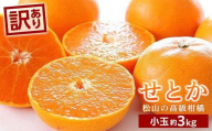 【2027年2月中旬頃から順次発送】せとか＜小玉＞ 約3kg | せとか 愛媛県 松山市 柑橘 小玉 こだま セトカ せとか みかん mikan かんきつ フルーツ 果物 くだもの お取り寄せ グルメ 送料無料 愛媛 松山
