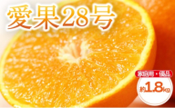 【2026年11月中旬頃から発送予定】愛果28号 (紅まどんな と同品種) 家庭用(優品)  約1.8kg×1箱 |  愛媛産 愛媛県産 国産 愛媛みかん 愛媛蜜柑 愛媛ミカン みかん ミカン mikan 蜜柑 柑橘 フルーツ 果物 くだもの お取り寄せ 産地直送 数量限定 人気 おすすめ 愛媛県 松山市 送料無料