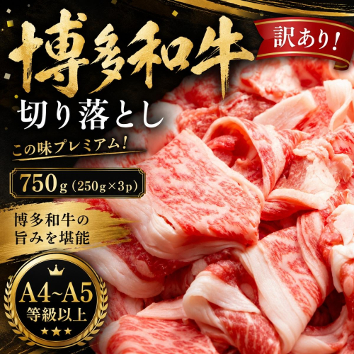訳あり！【A4～A5】この味プレミアム！博多和牛切り落とし 750g (250g×3p) | 牛肉 ブランド牛 国産 和牛 切落とし 福岡 博多 すき焼き しゃぶしゃぶ 肉じゃが 炒め物 CP055c 2795296 - 福岡県大木町