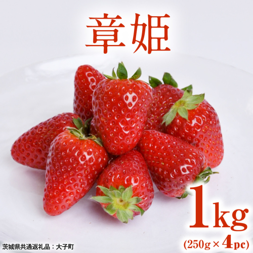 章姫 1kg (250g×4pc) 【 2026年12月上旬発送開始 】 ( 茨城県共通返礼品：大子町 ) いちご 苺 イチゴ 大粒 果汁 たっぷり ジューシー あきひめ 農家直送 産地直送 [FC209us] 2795566 - 茨城県牛久市
