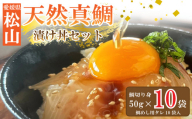 【10月発送】天然真鯛 漬け丼セット 50g × 10パック 鯛めし 宇和島 風 冷凍 鯛 小分け 漬け丼 鯛 国産 鯛 使用 漬け丼 海鮮丼 鯛 漬け丼 惣菜 漬け丼 鯛めし 漬け丼 海鮮 鯛めし 漬け丼 鯛茶漬け 漬け丼 鯛めし 鯛漬け 愛媛 松山 グルメ 魚 鯛刺身 鯛めし ごはんのお供 簡単調理のお惣菜