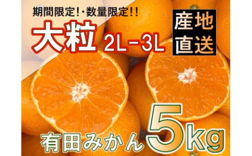 ［先行予約］和歌山県産 有田みかん 大玉 大粒 5kg 2L～3L 2795884 - 和歌山県有田川町